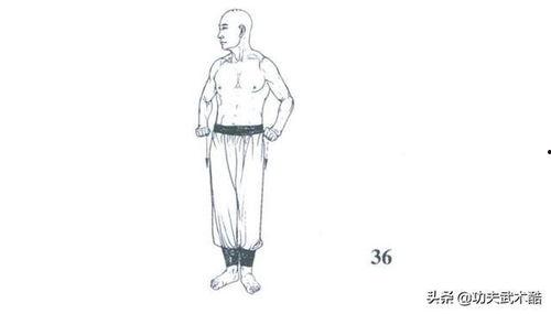 五行拳教学视频,掌握阴阳平衡，修炼五行拳法精髓