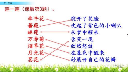 五行拳教学视频,掌握阴阳平衡，修炼五行拳法精髓