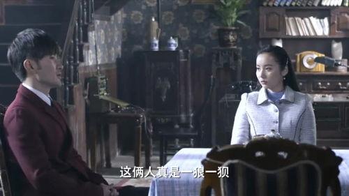 日本女特务视频,揭秘日本间谍的隐秘行动