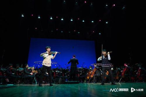 乐器表演视频,乐器表演视频中的视听盛宴