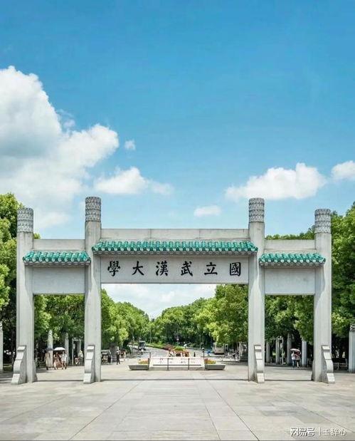 武汉大学视频,武汉大学校园风光与学术魅力的视听盛宴