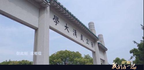 武汉大学视频,武汉大学校园风光与学术魅力的视听盛宴