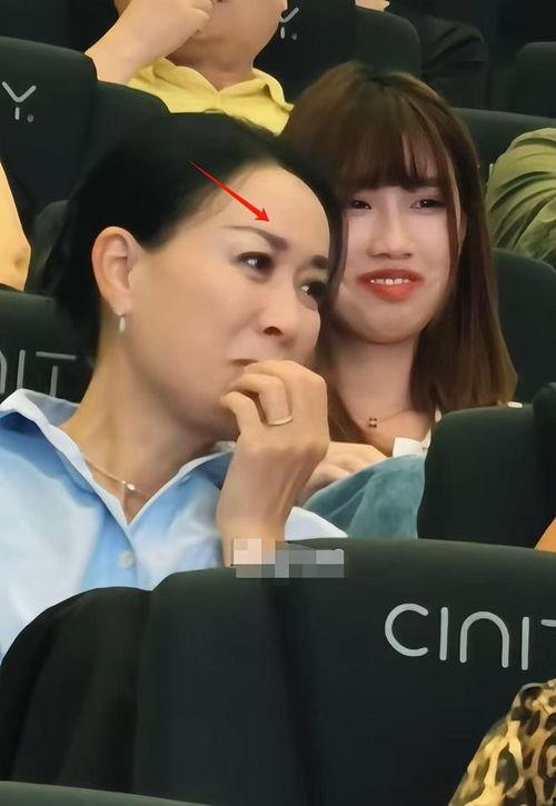 明星小视频,揭秘明星幕后生活瞬间