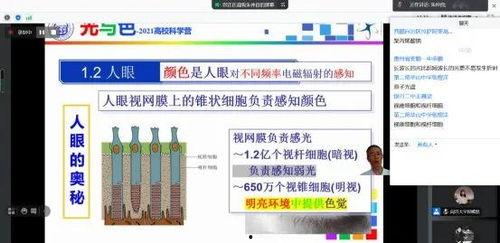 化学小实验视频,跟随实验视频解锁化学小实验的乐趣