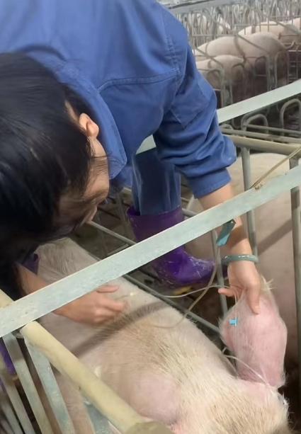 打针输液的视频,揭秘打针输液全过程