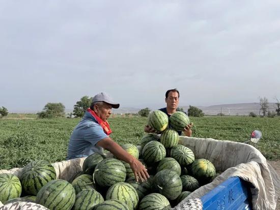 几年前安徽吃瓜爆料,一场引发热议的网络风云