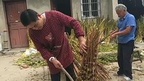 几年前安徽吃瓜爆料,一场引发热议的网络风云