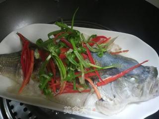 蒸鲈鱼的做法视频,简单美味，轻松掌握的烹饪技巧