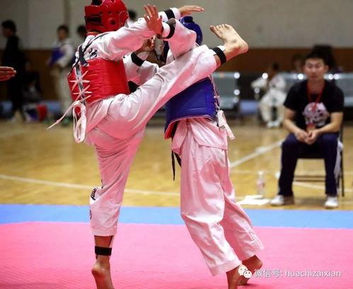 跆拳道对战视频,精彩对决回顾