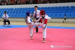 跆拳道对战视频,精彩对决回顾