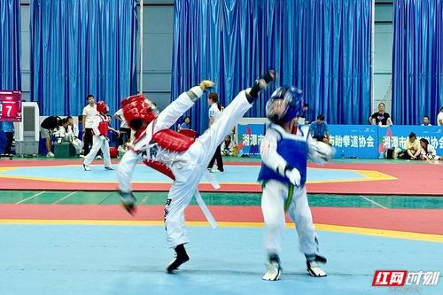 跆拳道对战视频,精彩对决回顾