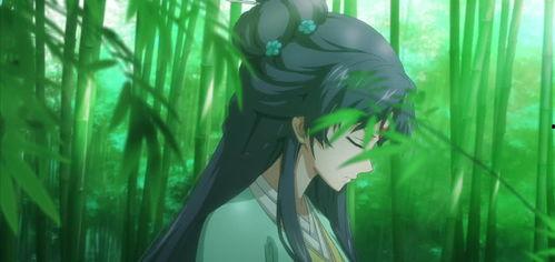 王权富贵视频,探寻古代皇权与财富的传奇故事