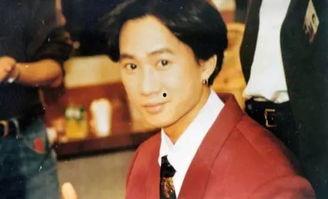 家驹视频,探寻音乐传奇背后的故事