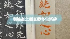 多宝塔教学视频,轻松掌握书法艺术之美