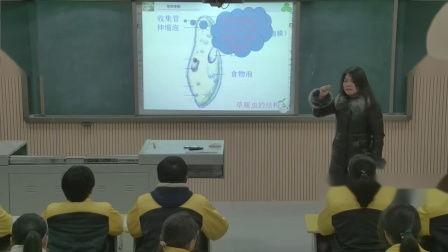 生物课视频,生物课视频内容概览