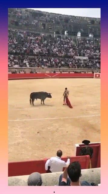 西班牙斗牛视频完整版,西班牙斗牛艺术与传统的视觉盛宴