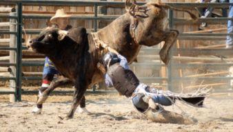 西班牙斗牛视频完整版,西班牙斗牛艺术与传统的视觉盛宴