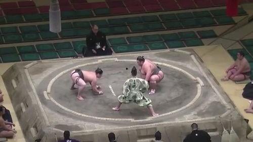 日本相扑视频,日本相扑盛宴精彩瞬间回顾