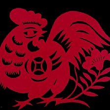 公鸡视频大全视频,趣味盎然的生活瞬间