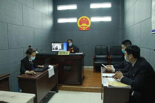 法院开庭直播视频,直播视频揭示庭审现场精彩瞬间