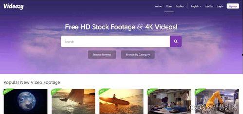 无水印视频素材网站,探索无水印视频素材网站的宝藏库