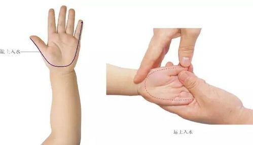 推拿按摩教学视频,掌握专业手法，轻松缓解身心疲劳