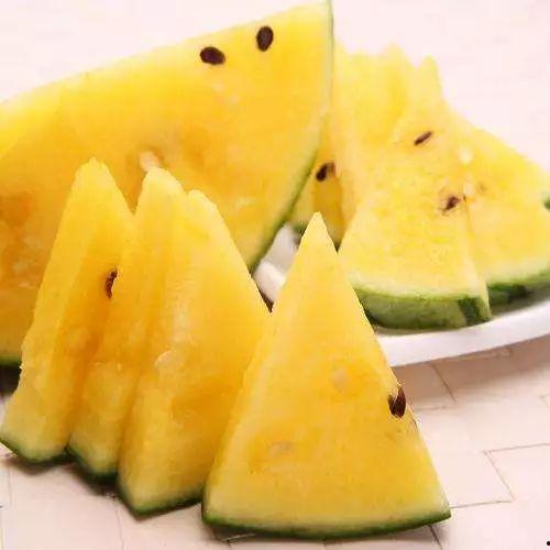 免费黑瓜吃料网在线,揭秘美食界的宝藏之地