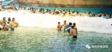 造浪池视频,科技与娱乐的完美融合