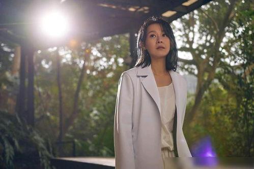 刘若英歌曲视频,情感共鸣的视听之旅