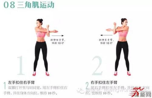 拉筋操视频,轻松入门，健康生活新选择
