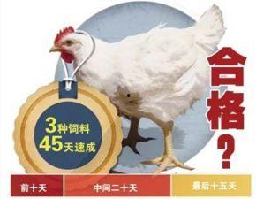 速成鸡视频,快速掌握家常美味