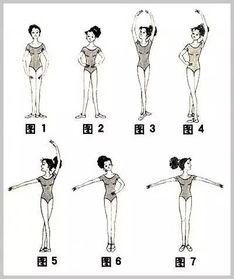 芭蕾手位视频,优雅舞姿的秘密技巧