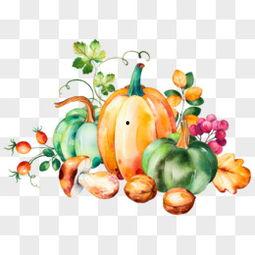 瓜果蔬菜图片大全,缤纷色彩，营养满溢的餐桌盛宴