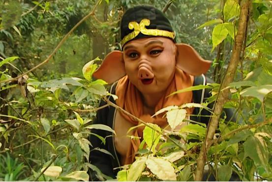 八戒八戒视频,趣味横生的动物世界大揭秘