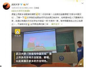 湖北方言视频,视频里的乡音乡情掠影