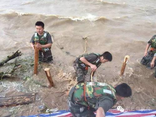 98抗洪视频,众志成城，共筑防洪壮丽篇章