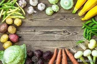 北部瓜茄今日价