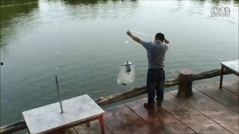 抛网捕鱼视频,传统技艺与现代视角的完美融合