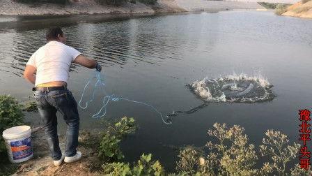 抛网捕鱼视频,传统技艺与现代视角的完美融合