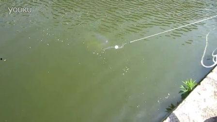 抛网捕鱼视频,传统技艺与现代视角的完美融合