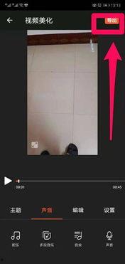 如何去除视频声音