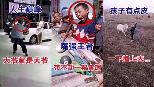 奇葩搞笑视频,笑料百出！奇葩搞笑视频大盘点