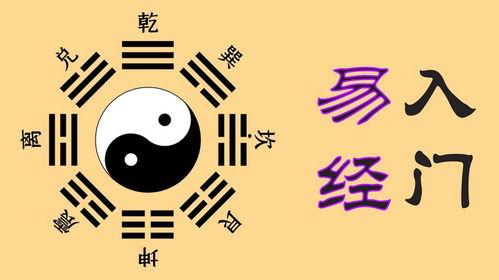 易经入门视频