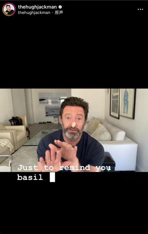 狼叔视频,揭秘狼性生存法则，教你如何在职场丛林中称霸