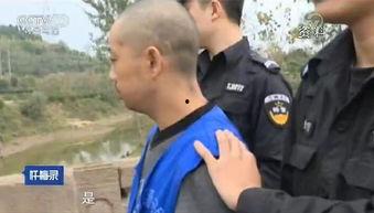 枪决视频,震撼人心的瞬间回顾