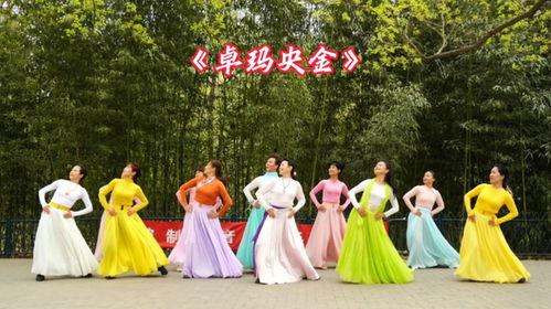 卓玛广场舞视频,活力四射，舞动人生