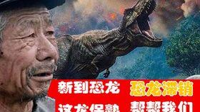 棘龙的视频,史前巨兽的惊世风采