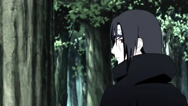 鼬的视频,灵动身影下的自然传奇