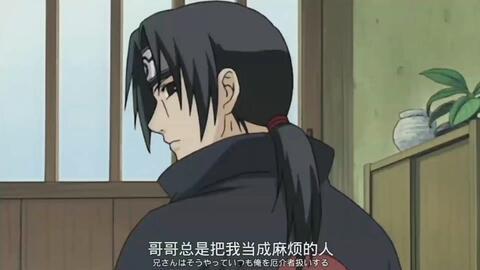 鼬的视频,灵动身影下的自然传奇