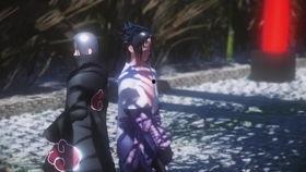 鼬的视频,灵动身影下的自然传奇